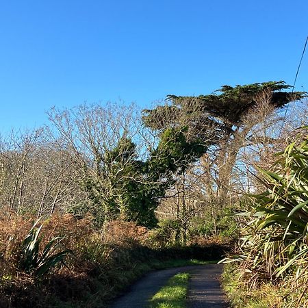Ancaire Cottage Kilbronogue. Schull Dış mekan fotoğraf