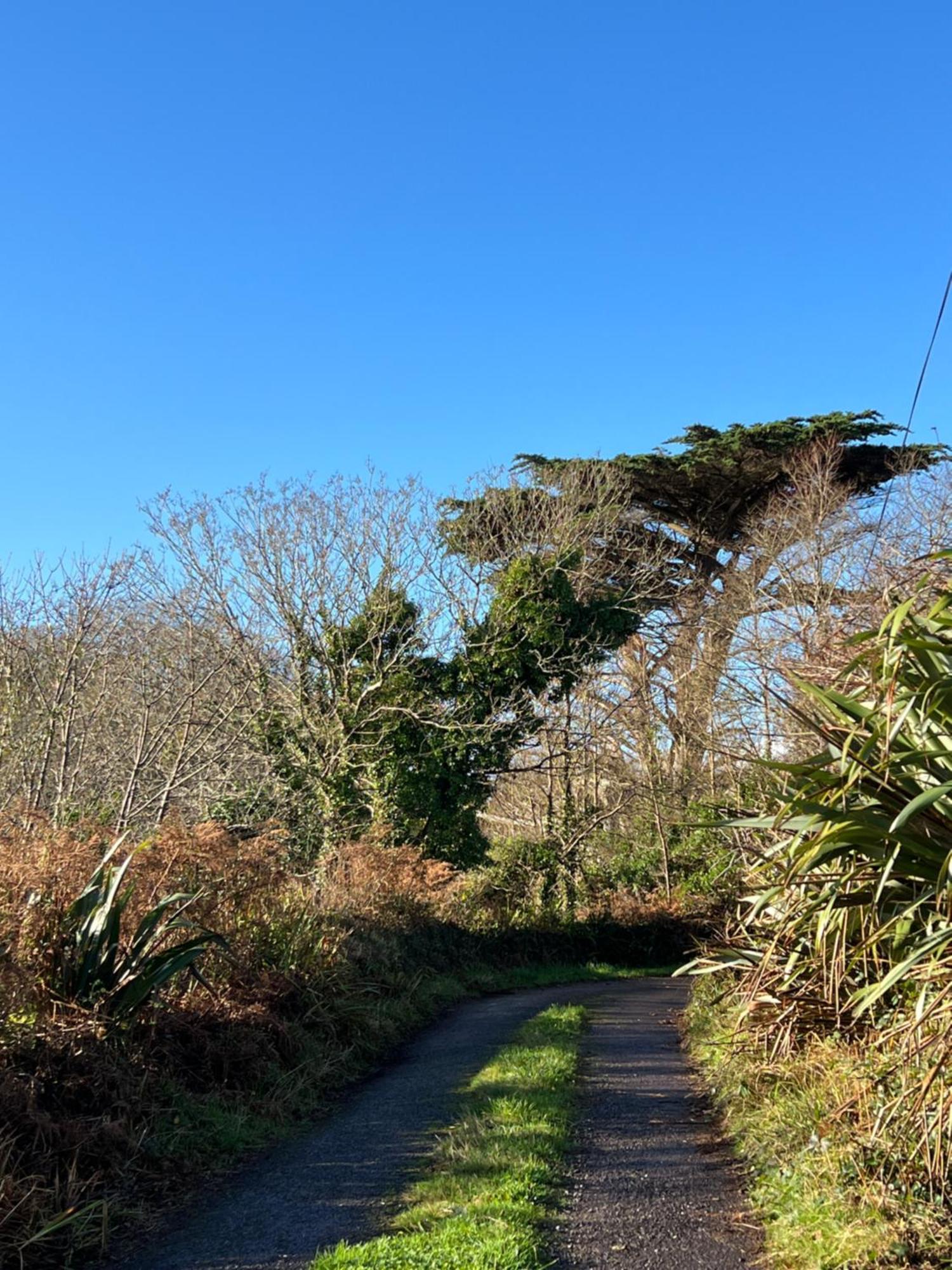 Ancaire Cottage Kilbronogue. Schull Dış mekan fotoğraf